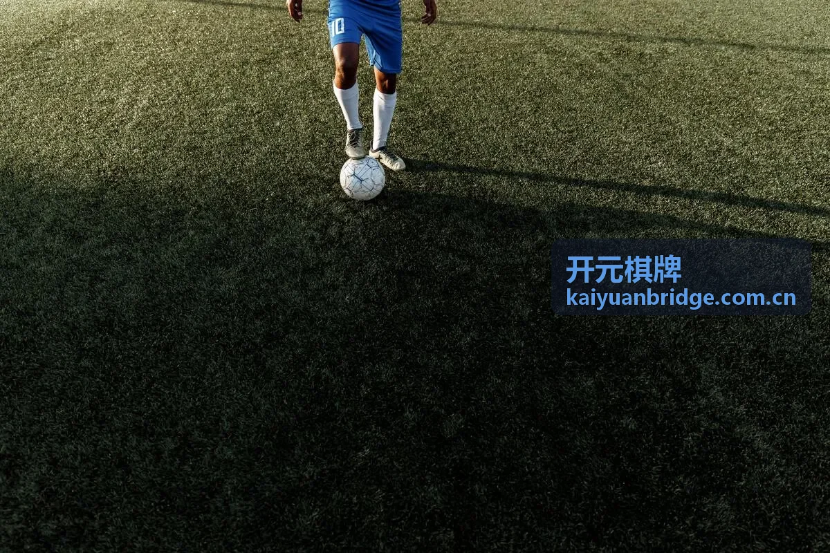 牛牛牌型概率与下注